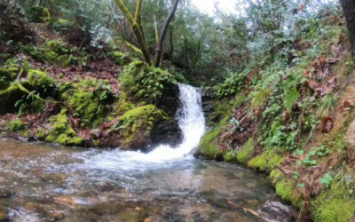 Just how wet and muddy was the 30th Annual Way Too Cool 50K? This video tells it all!