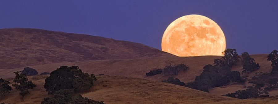 Cool Moon rising