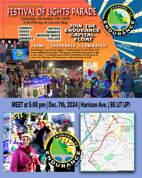 AECW Fesitval of Lights Float Flyer